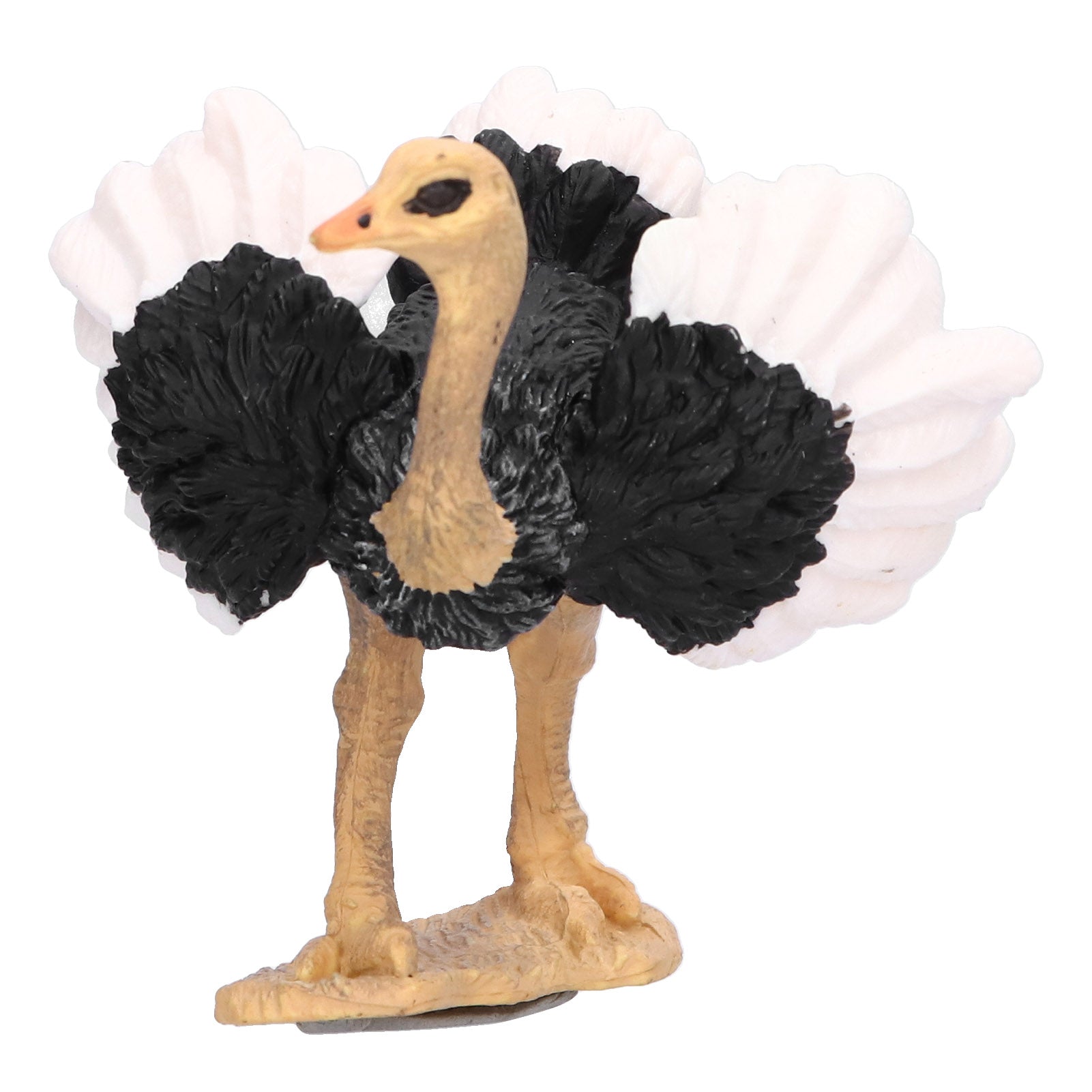 Ostrich Model Highly Simulation Wildlife Animal Figurine Collection Model Educational Prop773