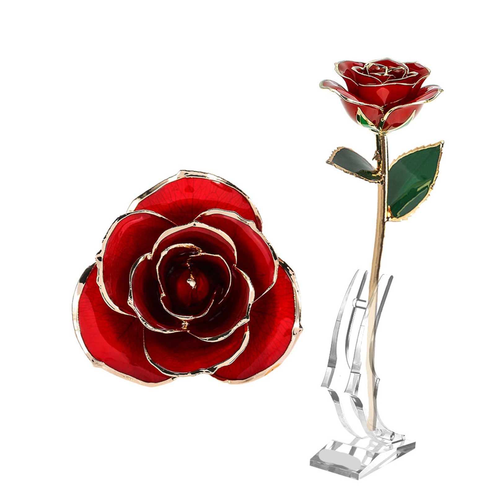 Long Stem Dipped 24k Gold Rose in Gift Box with Clear Display Stand Red Roses for Her