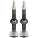 1 Pair 52mm Bike Extended Air Valve Tubeless Presta Valve Core Nozzle for Mountain Bike Noir